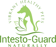 intesto-guard-logo